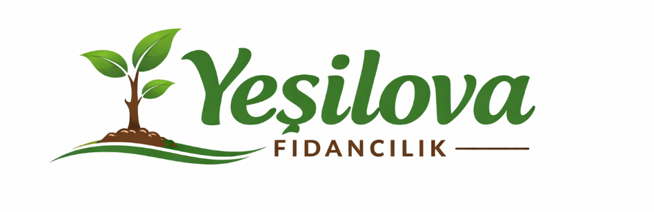 Yeşilova fidancılık