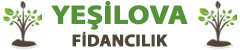 Yeşilova Fidancılık Yozgat Fidancılık
